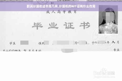 职高计算机证书是几级,计算机的NIT证有什么作用