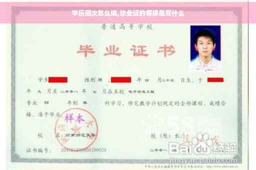 学历层次怎么填,毕业证的等级是写什么