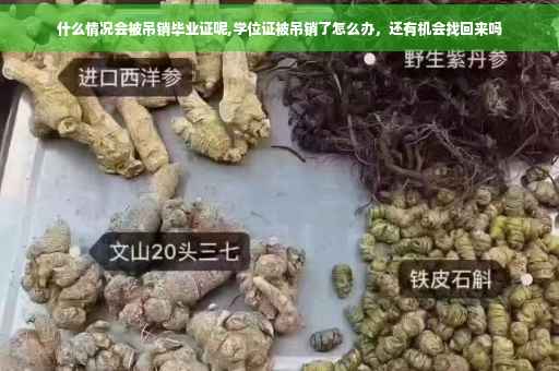 什么情况会被吊销毕业证呢,学位证被吊销了怎么办，还有机会找回来吗