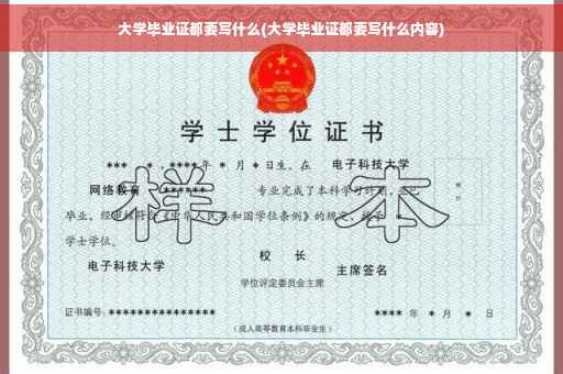 大学毕业证都要写什么(大学毕业证都要写什么内容)