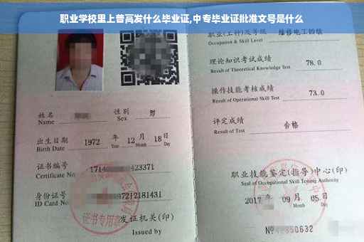 职业学校里上普高发什么毕业证,中专毕业证批准文号是什么
