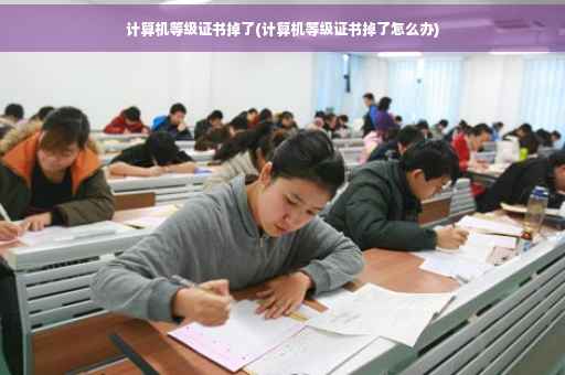 计算机等级证书掉了(计算机等级证书掉了怎么办)