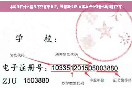 本科生在什么情况下只有毕业证，没有学位证-自考本毕业证什么时候能下来