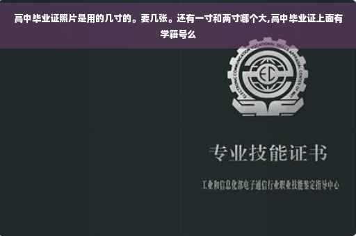 高中毕业证照片是用的几寸的。要几张。还有一寸和两寸哪个大,高中毕业证上面有学籍号么