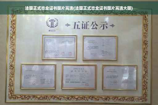 法国正式毕业证书图片高清(法国正式毕业证书图片高清大图)