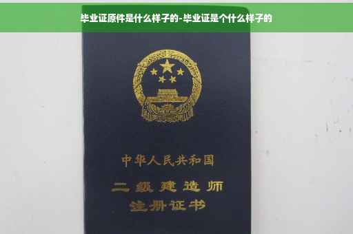 毕业证原件是什么样子的-毕业证是个什么样子的