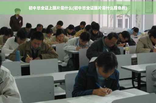 初中毕业证上图片是什么(初中毕业证图片是什么颜色的)