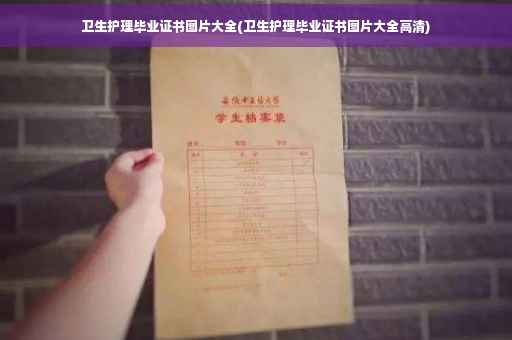卫生护理毕业证书图片大全(卫生护理毕业证书图片大全高清)