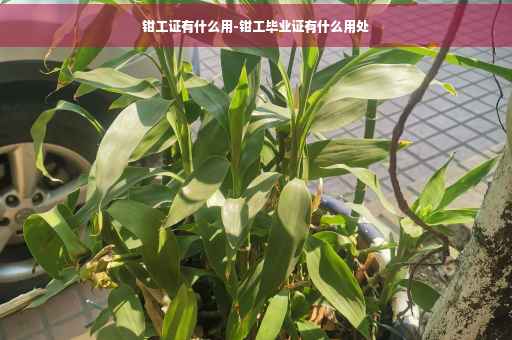 钳工证有什么用-钳工毕业证有什么用处