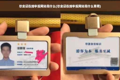毕业证在线申报网站是什么(毕业证在线申报网站是什么意思)
