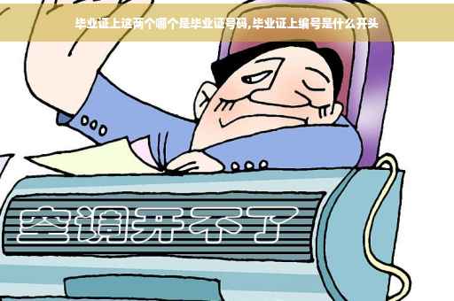 毕业证上这两个哪个是毕业证号码,毕业证上编号是什么开头