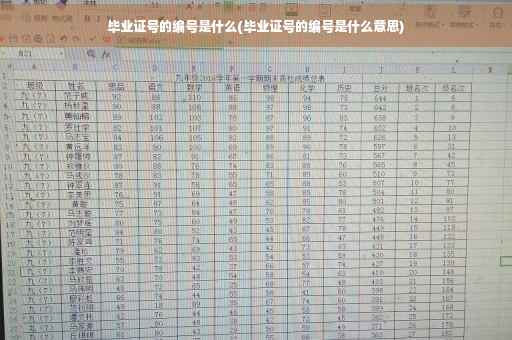 毕业证号的编号是什么(毕业证号的编号是什么意思)