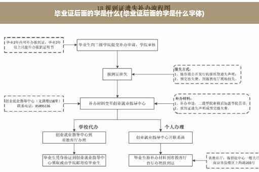 毕业证后面的字是什么(毕业证后面的字是什么字体)
