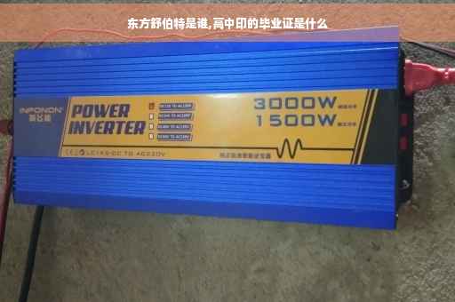 东方舒伯特是谁,高中印的毕业证是什么