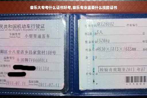 音乐大专考什么证书好考,音乐专业需要什么技能证书