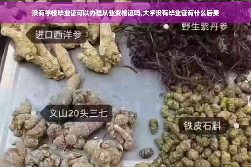 没有学校毕业证可以办理从业资格证吗,大学没有毕业证有什么后果