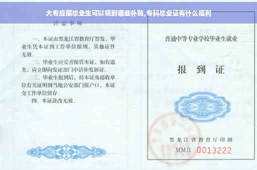 大专应届毕业生可以领到哪些补贴,专科毕业证有什么福利