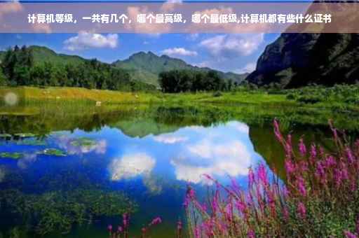 计算机等级,一共有几个,哪个最高级,哪个最低级,计算机都有些什么证书 计算机等级,一共有几个,哪个最高级,哪个最低级,计算机都有些什么证书