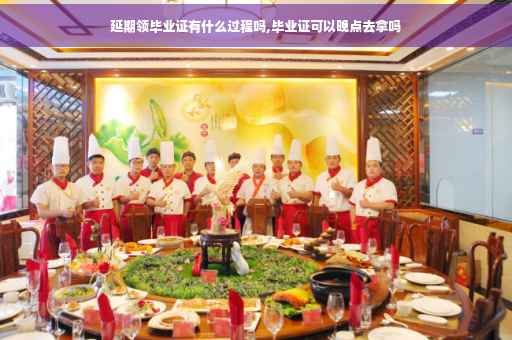 延期领毕业证有什么过程吗,毕业证可以晚点去拿吗