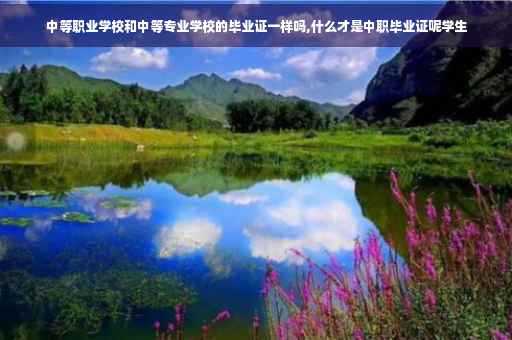 中等职业学校和中等专业学校的毕业证一样吗,什么才是中职毕业证呢学生