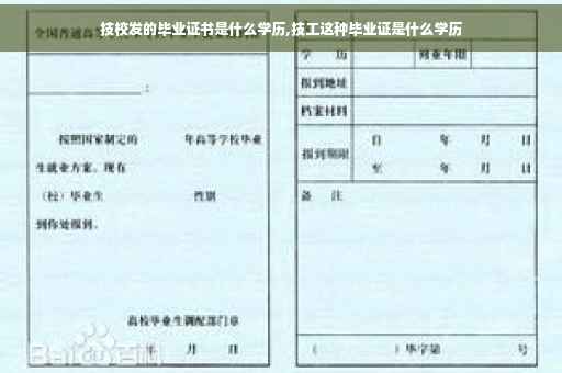 技校发的毕业证书是什么学历,技工这种毕业证是什么学历