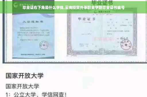 毕业证右下角是什么字体,云南经贸外事职业学院毕业证书编号
