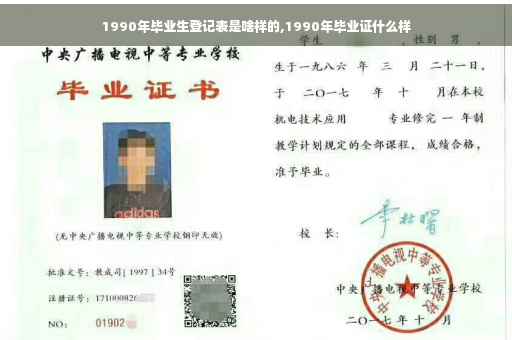 1990年毕业生登记表是啥样的,1990年毕业证什么样