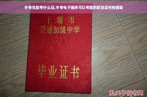 中专生能考什么证,中专电子商务可以考取的职业证书有哪些