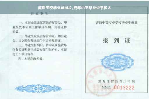 成都学校毕业证图片,成都小学毕业证书多大
