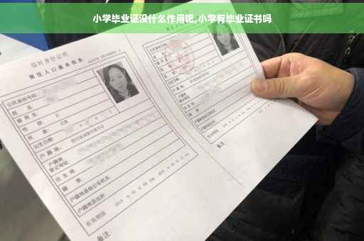 小学毕业证没什么作用吧,小学有毕业证书吗