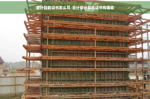 会计技能证书怎么写-会计类计算机证书有哪些