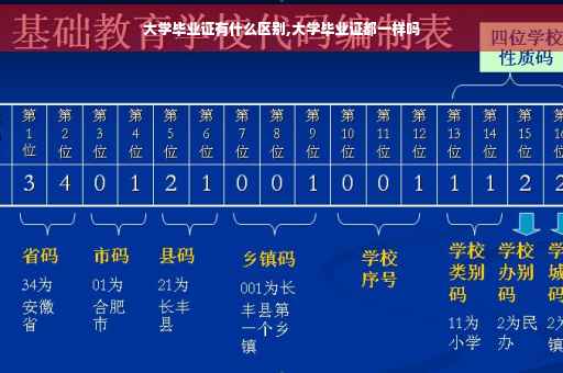 大学毕业证有什么区别,大学毕业证都一样吗
