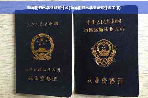 领导用自己毕业证做什么(领导用自己毕业证做什么工作)