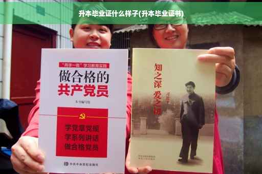 升本毕业证什么样子(升本毕业证书)