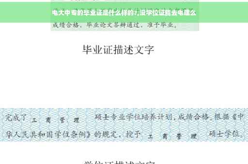 电大中专的毕业证是什么样的?,没学位证能去电建么
