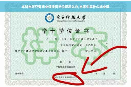 本科自考只有毕业证没有学位证怎么办,自考生拿什么毕业证