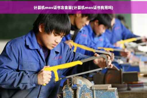 计算机mos证书含金量(计算机mos证书有用吗)