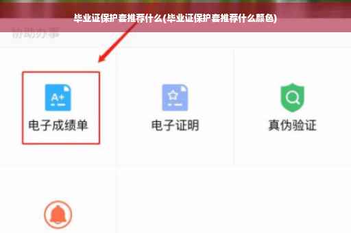 毕业证保护套推荐什么(毕业证保护套推荐什么颜色)