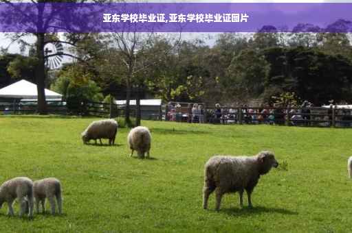 亚东学校毕业证,亚东学校毕业证图片