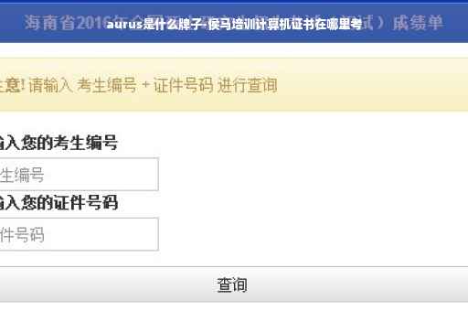 aurus是什么牌子-侯马培训计算机证书在哪里考