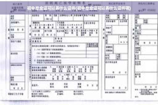 初中毕业证可以弄什么证件(初中毕业证可以弄什么证件呢)
