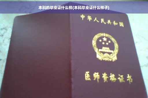 本科的毕业证什么样(本科毕业证什么样子)