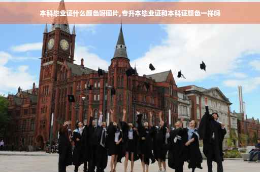 本科毕业证什么颜色呀图片,专升本毕业证和本科证颜色一样吗
