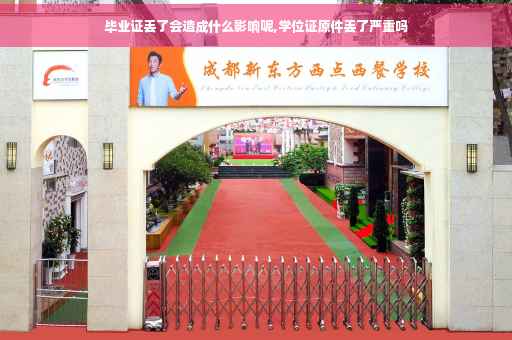 毕业证丢了会造成什么影响呢,学位证原件丢了严重吗