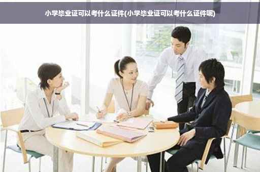 小学毕业证可以考什么证件(小学毕业证可以考什么证件呢)