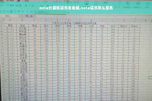 osta计算机证书含金量,osta证书怎么报名