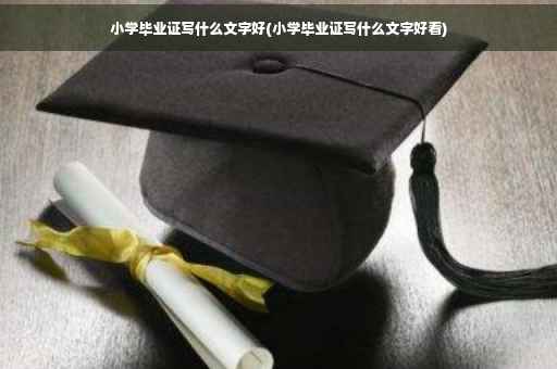 小学毕业证写什么文字好(小学毕业证写什么文字好看)