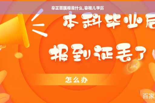 辛芷蕾属相是什么,容祖儿学历