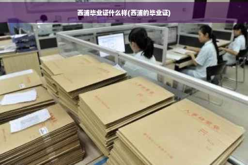 西浦毕业证什么样(西浦的毕业证)
