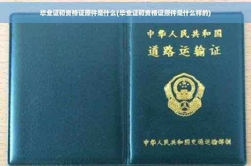 毕业证和资格证原件是什么(毕业证和资格证原件是什么样的)